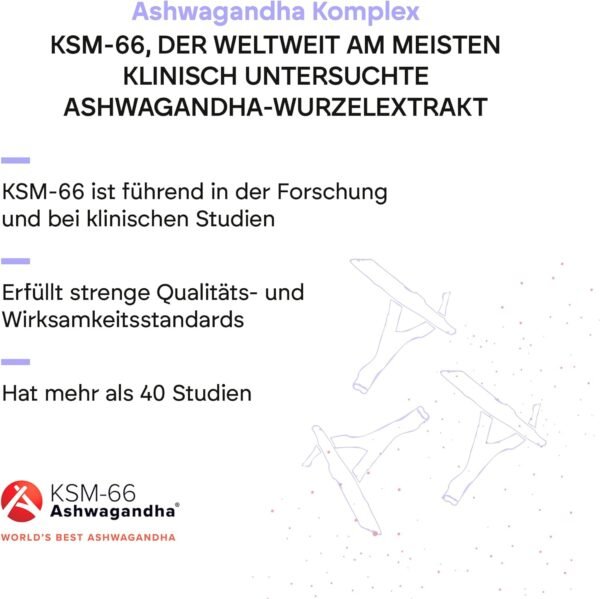 Ashwagandha KSM-66 Pura - Rhodiola Rosea Vit B6 B12 - Ginseng Natural Indio con 5% de Whitanólidos y Vitaminas B6 y B12 - 60 Cápsulas Veganas Nutralie - Image 3